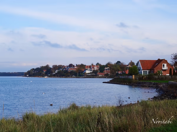 投稿：Roskilde