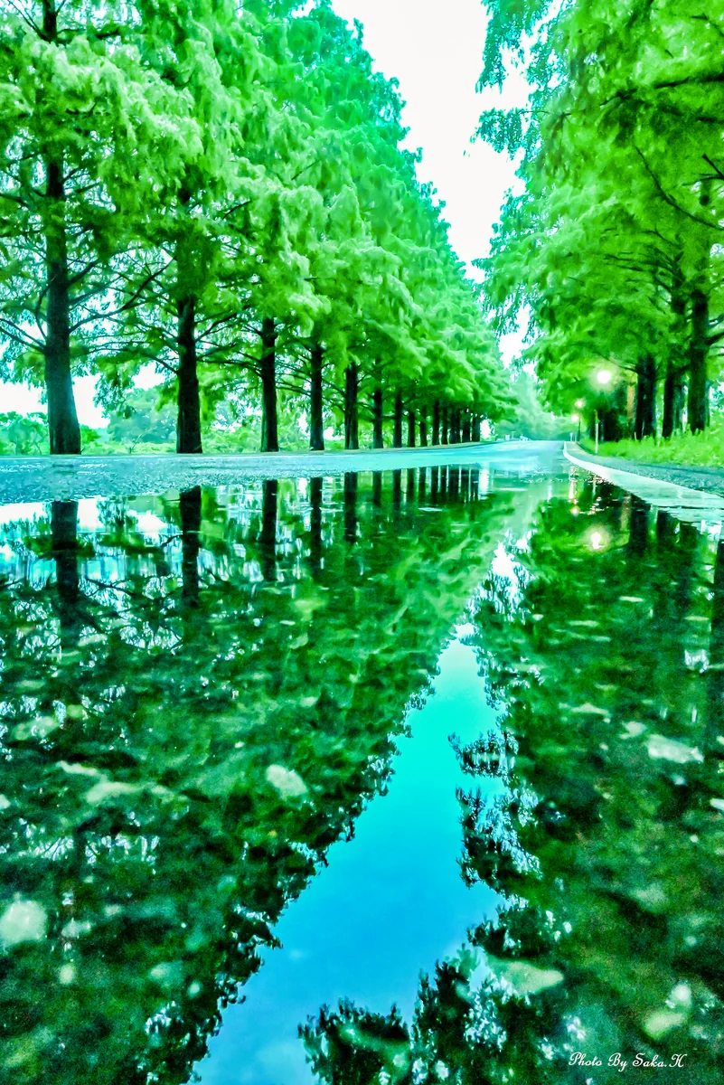 Hiromi Sakataさんの投稿写真