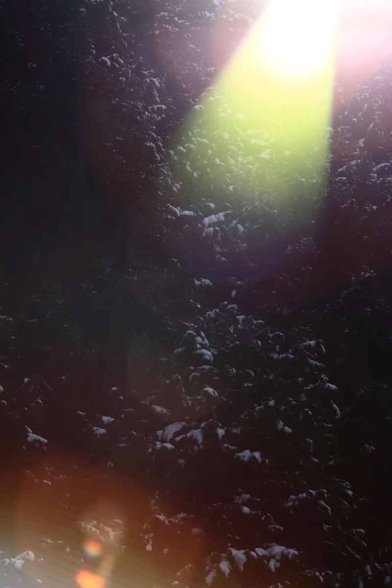 投稿写真：おひさまの贈り物