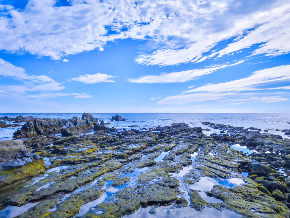 投稿写真：洗濯岩と伊豆大島
