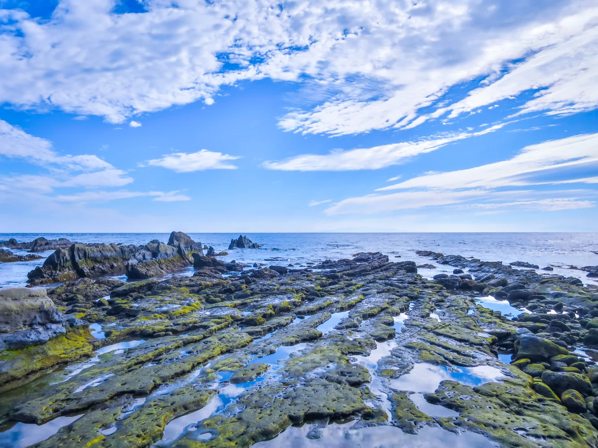 投稿写真：洗濯岩と伊豆大島