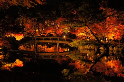  | 絶景事典