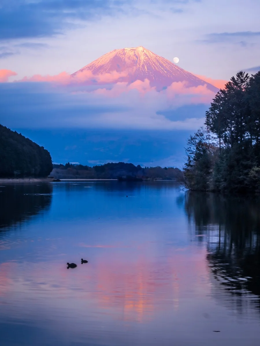 投稿写真：山腹パール紅富士とリフレクション