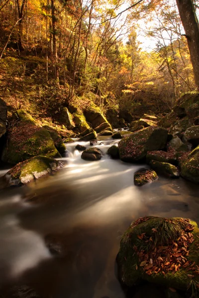 投稿：渓谷の秋