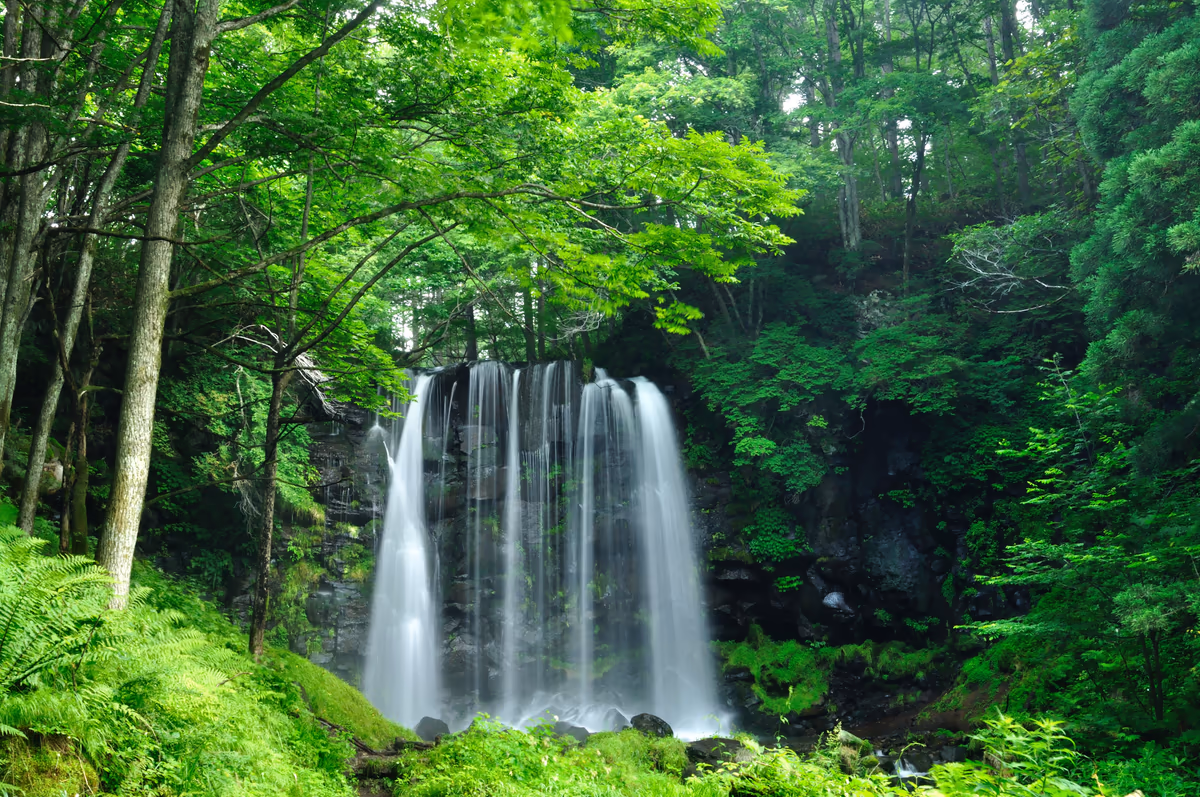 投稿写真：唐沢の滝