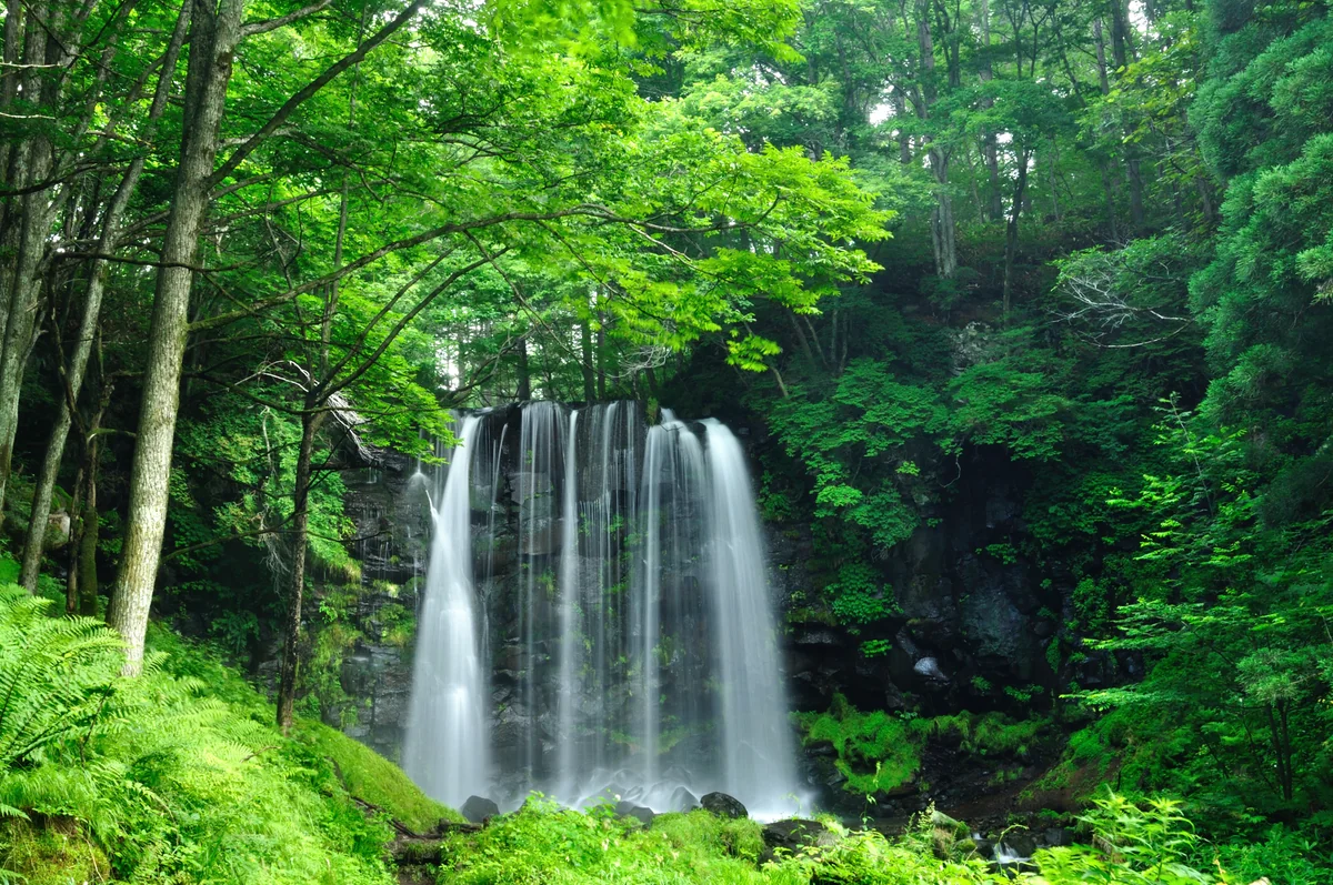 投稿写真：唐沢の滝