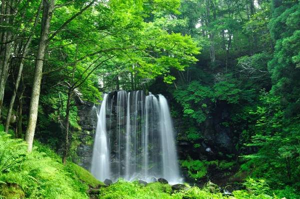 投稿：唐沢の滝