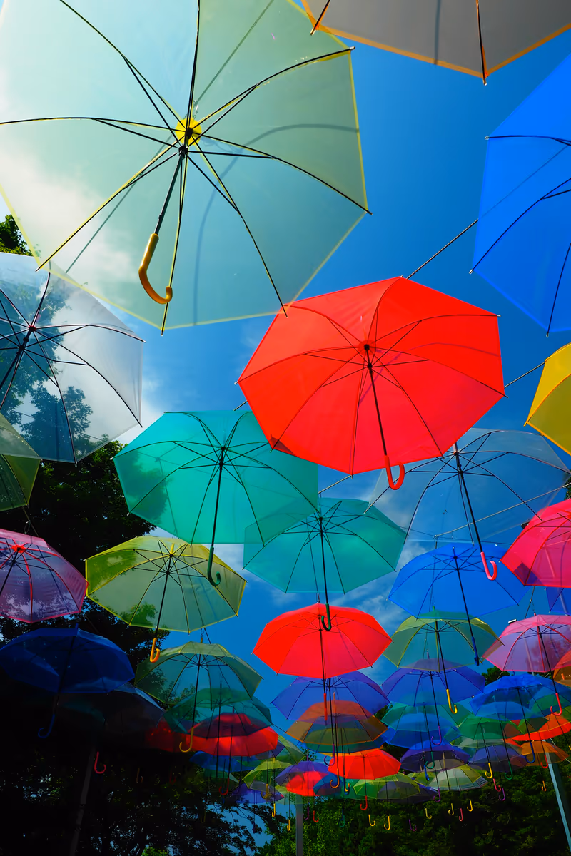 投稿写真：梅雨の晴間　アンブレラスカイ