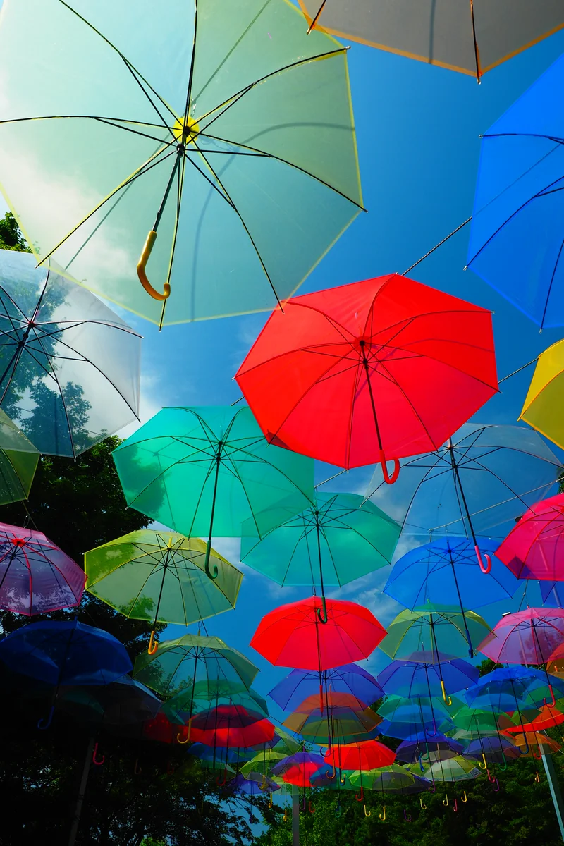 投稿写真：梅雨の晴間　アンブレラスカイ