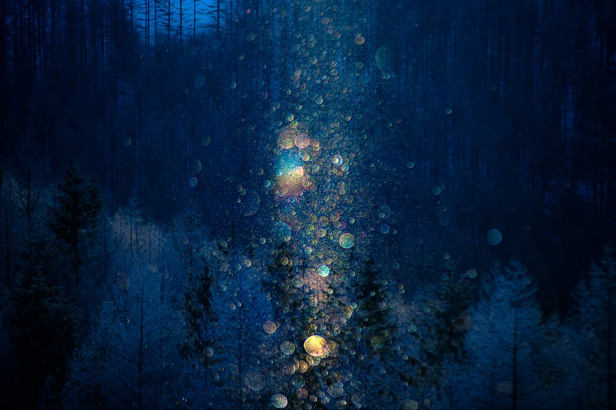 投稿写真：ダイヤモンドダスト