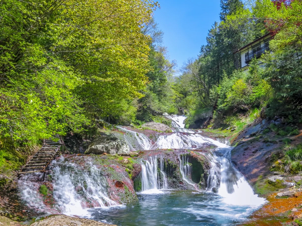 投稿写真：おしどり隠しの滝