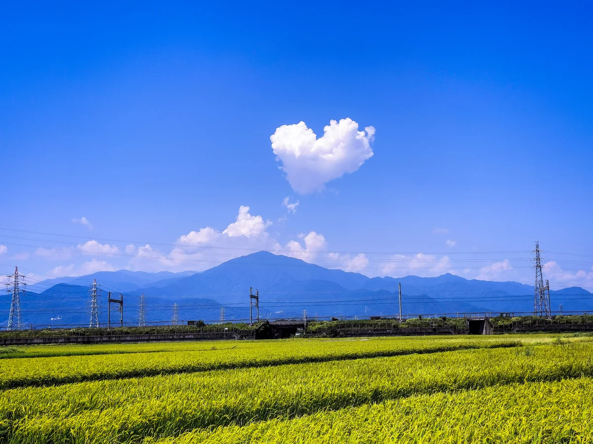 投稿写真：ハート型の雲