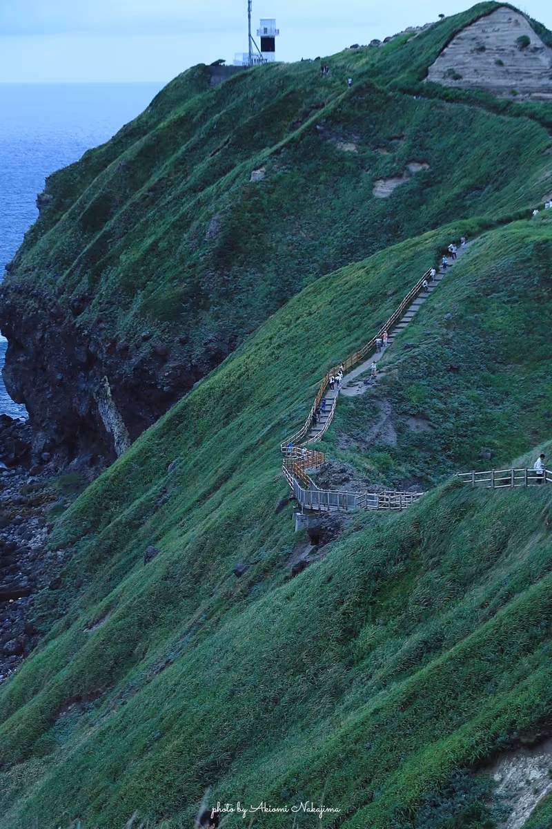 投稿写真：神威岬灯台への道