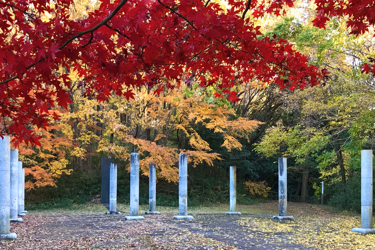 投稿写真：紅葉とモニュメント