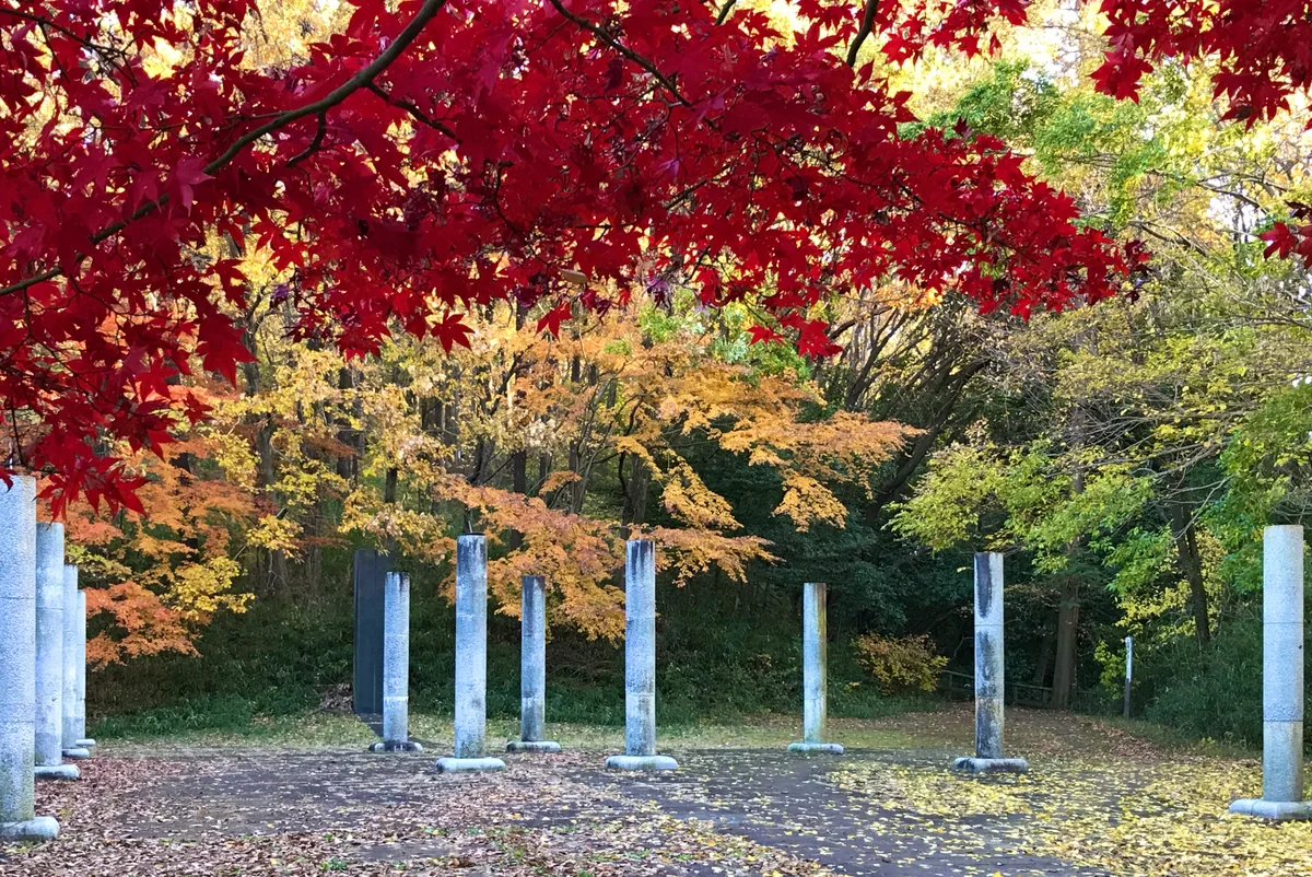 投稿写真：紅葉とモニュメント