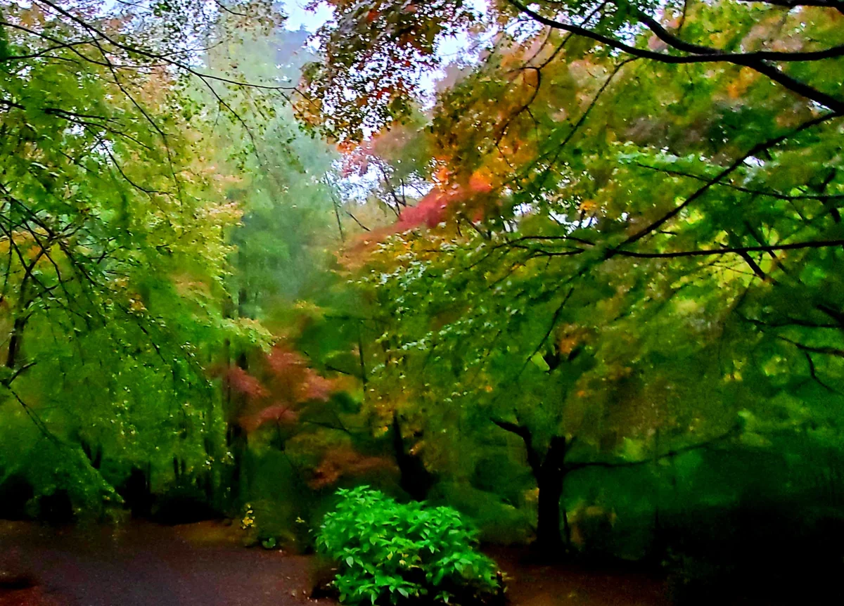 投稿写真：三十路苑