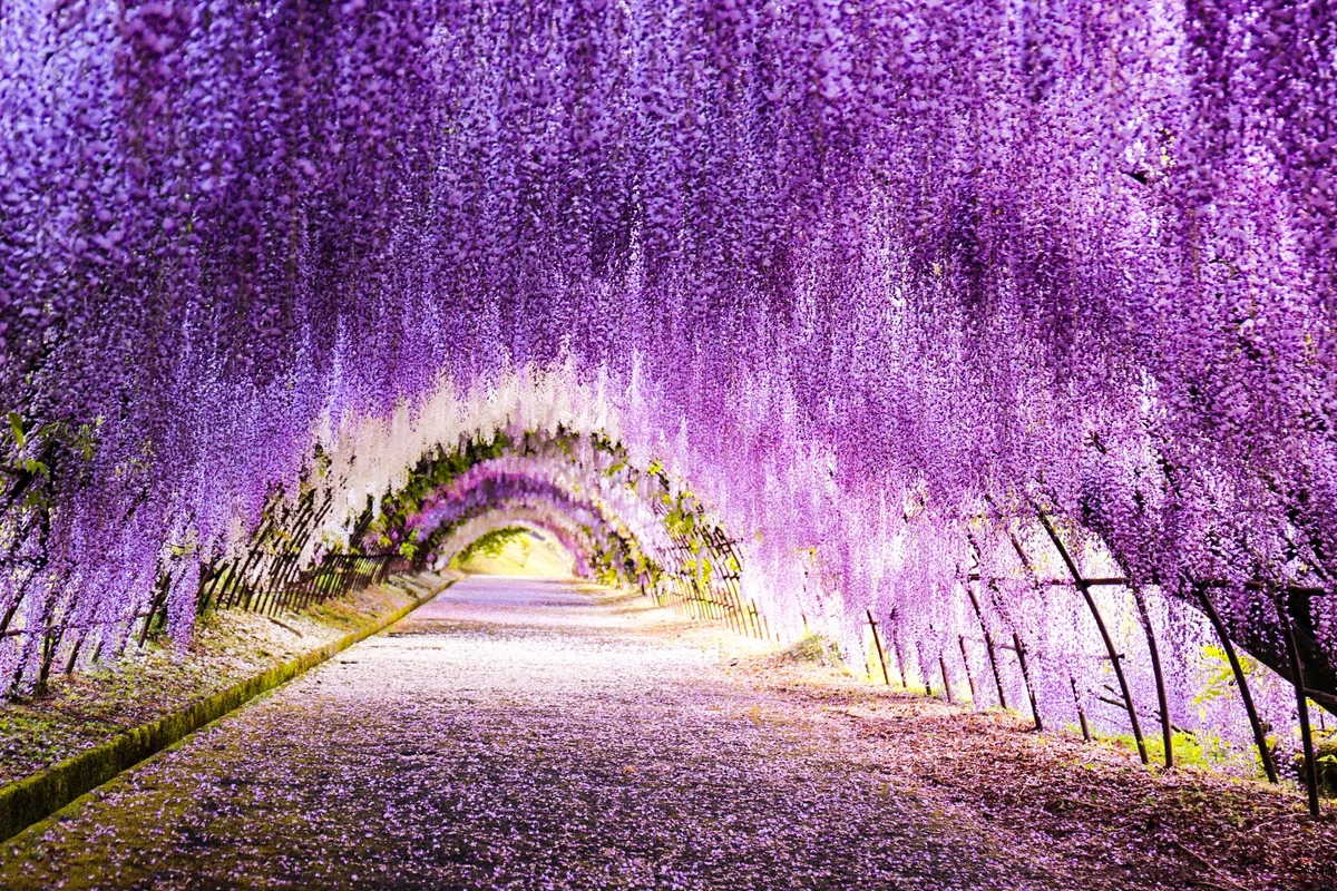 Hiroki Takeさんの投稿写真