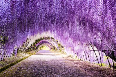  | 絶景事典