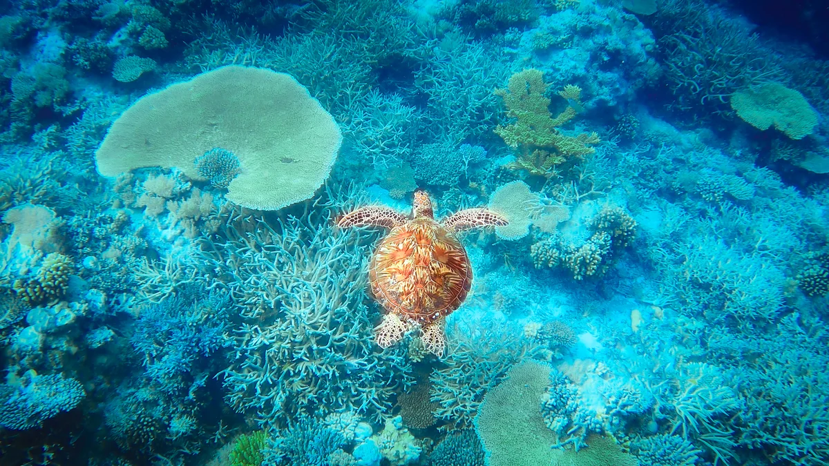 投稿写真：ゲロンインサイド