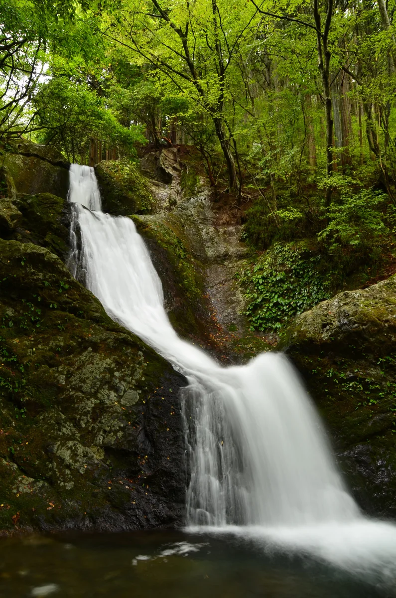 投稿写真：奥多摩三ツ釜の滝