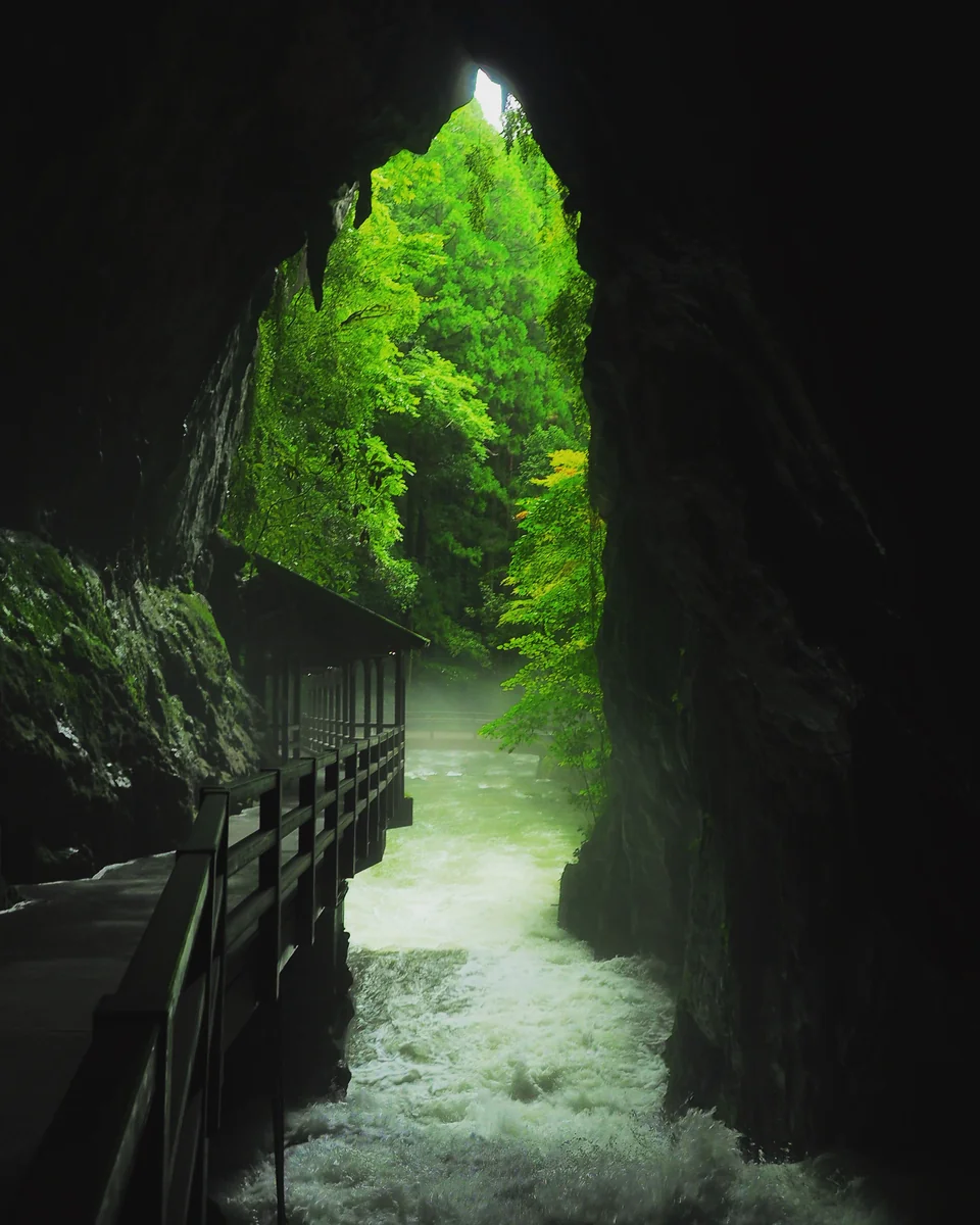 投稿写真：秋芳洞