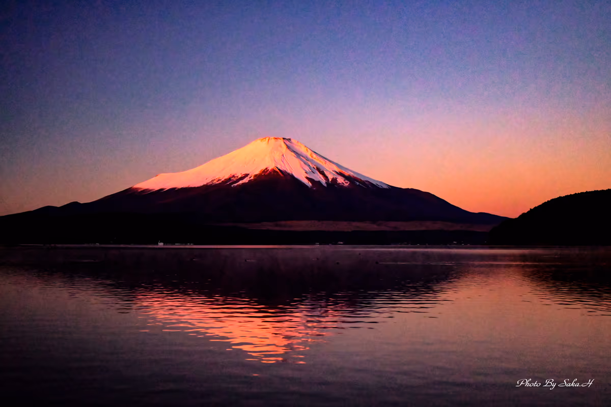 投稿写真：紅富士