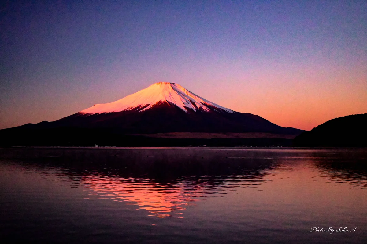 投稿写真：紅富士