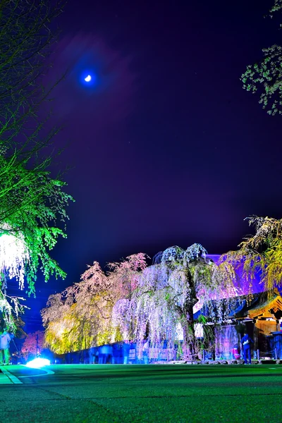 投稿：武家屋敷通り