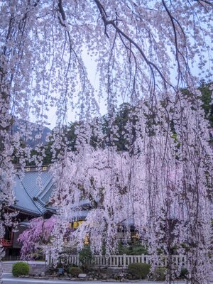  | 絶景事典