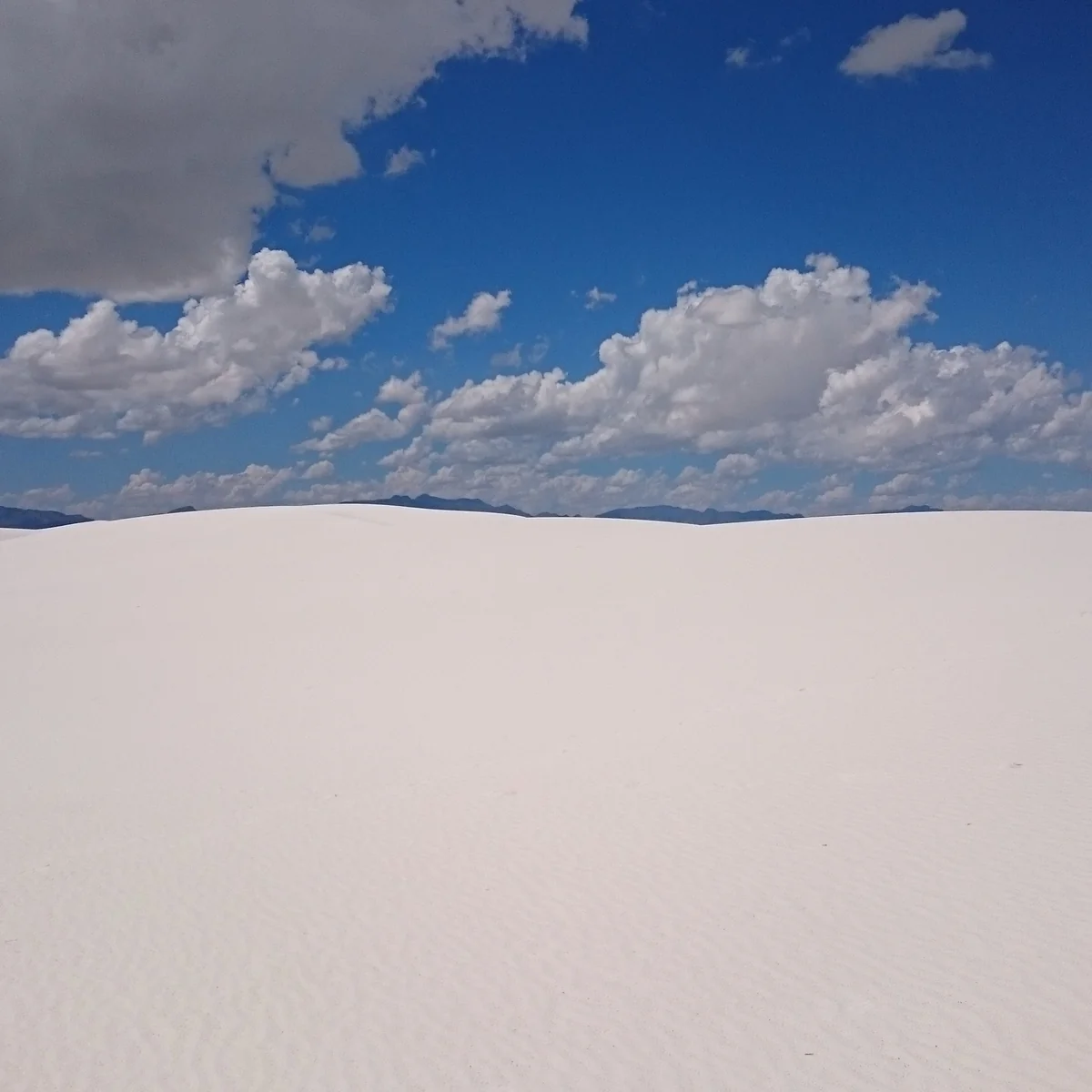 投稿写真：ホワイトサンズ 国定公園 ニューメキシコ州