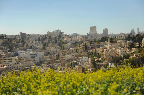 投稿：アンマン