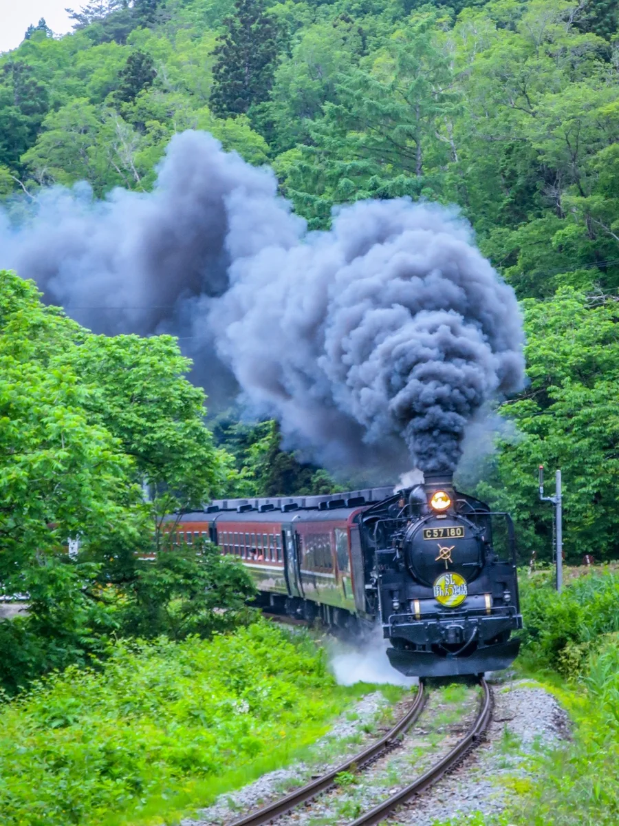 投稿写真：新緑のSLばんえつ物語