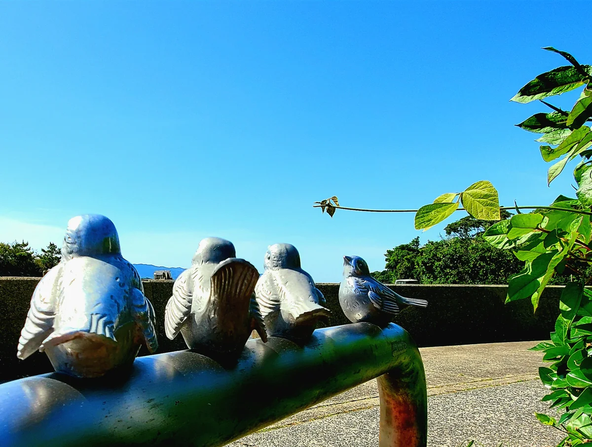 投稿写真：すずめちゃん