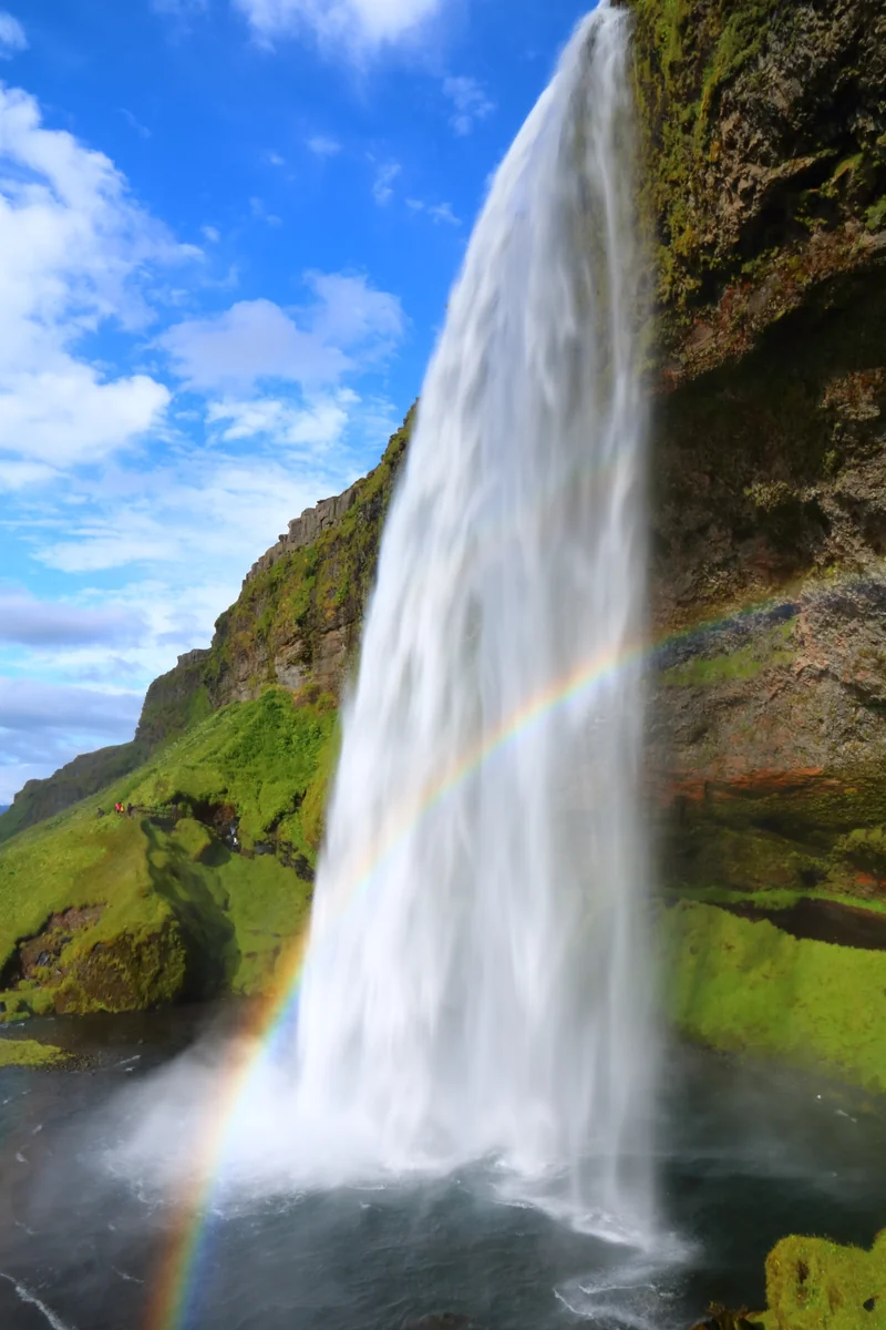 投稿写真：セーリャラントスフォス