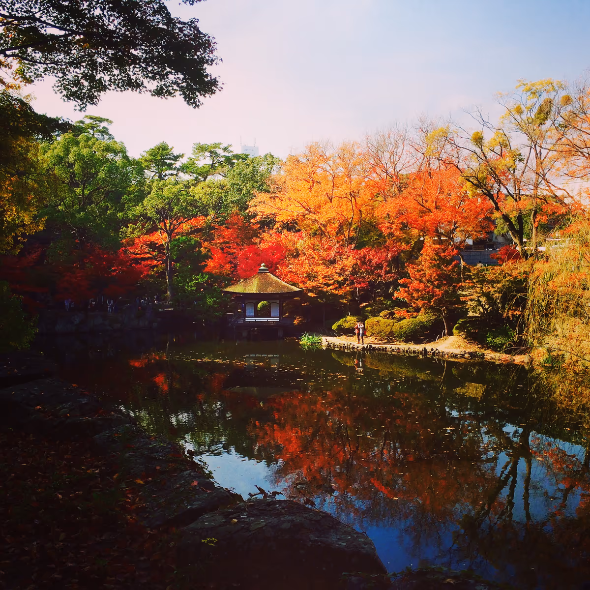 投稿写真：和歌山城 紅葉溪庭園