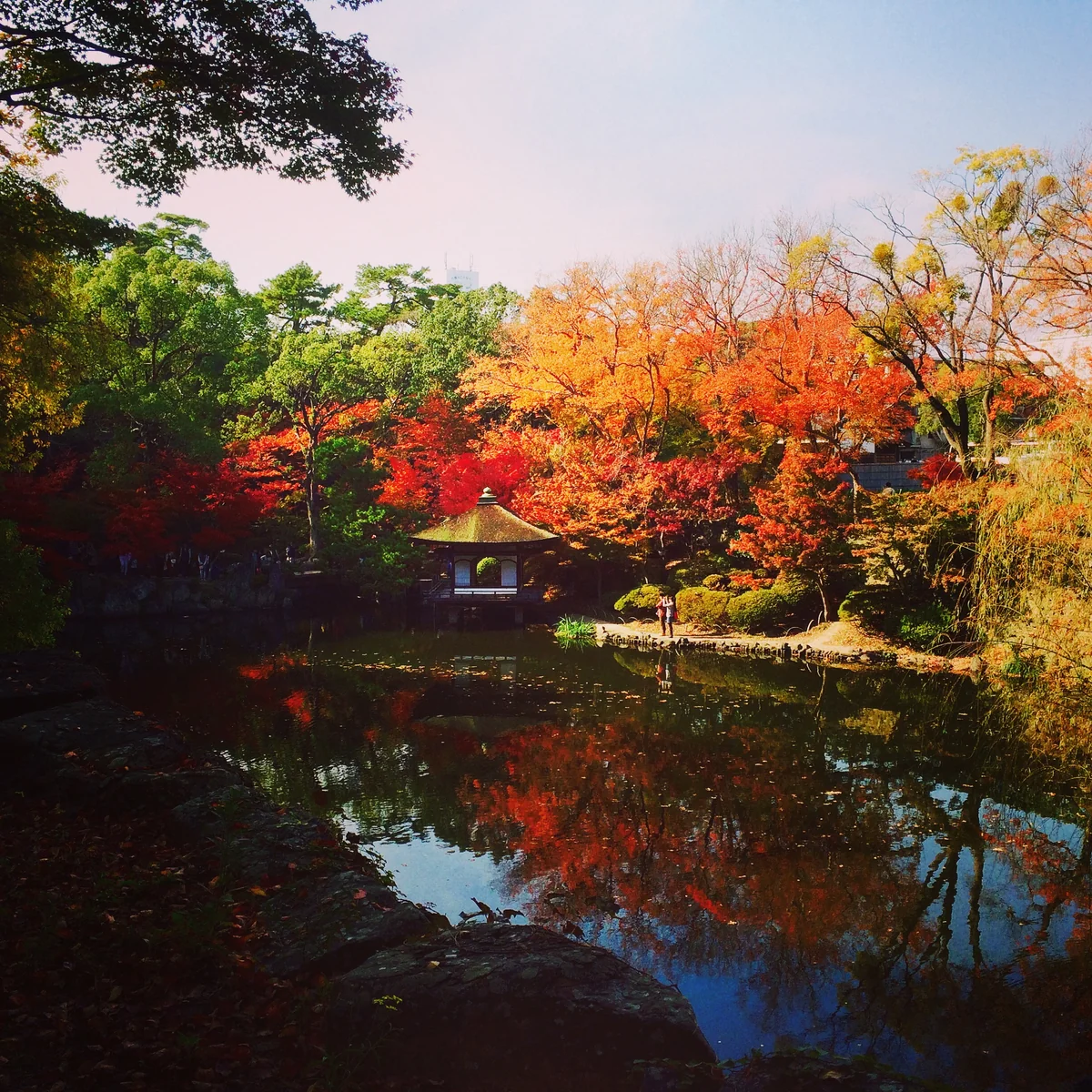 投稿写真：和歌山城 紅葉溪庭園