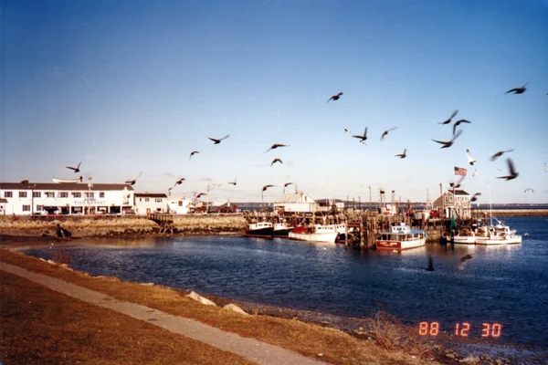 投稿：港町・プリマス