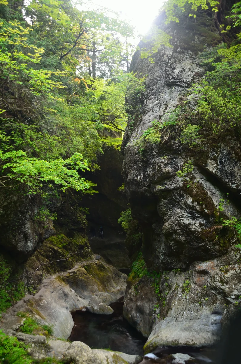 投稿写真：神戸岩