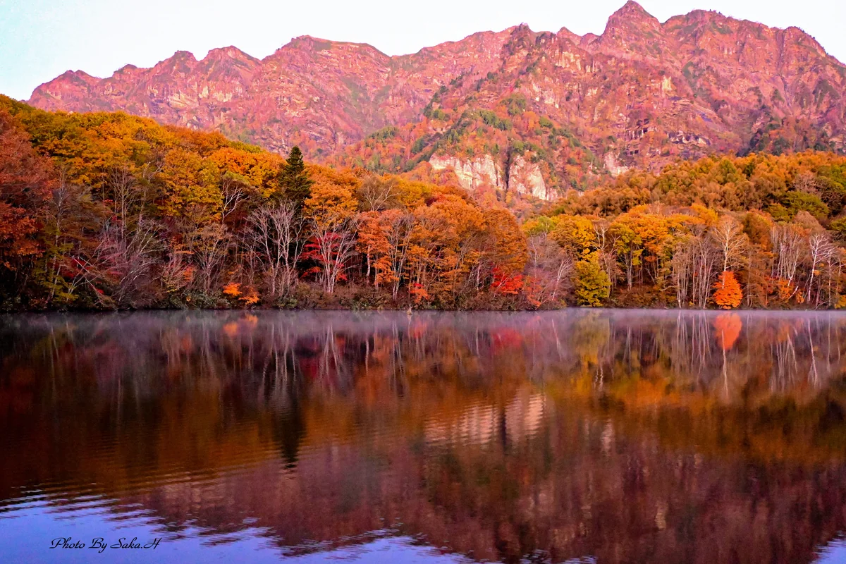 投稿写真：日の出前の輝き
