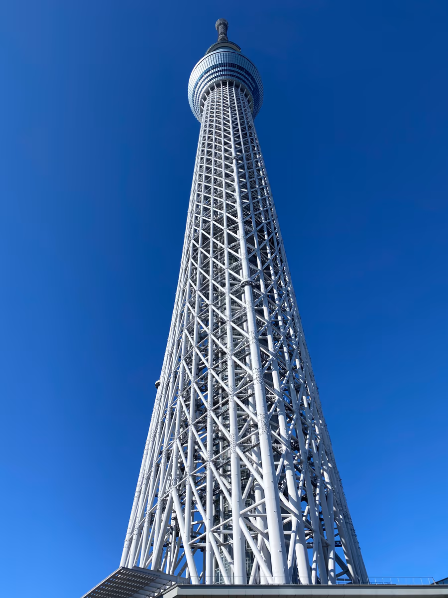 やまさんさんの投稿写真