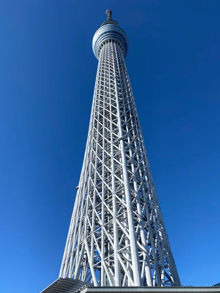 投稿：新年のスカイツリー