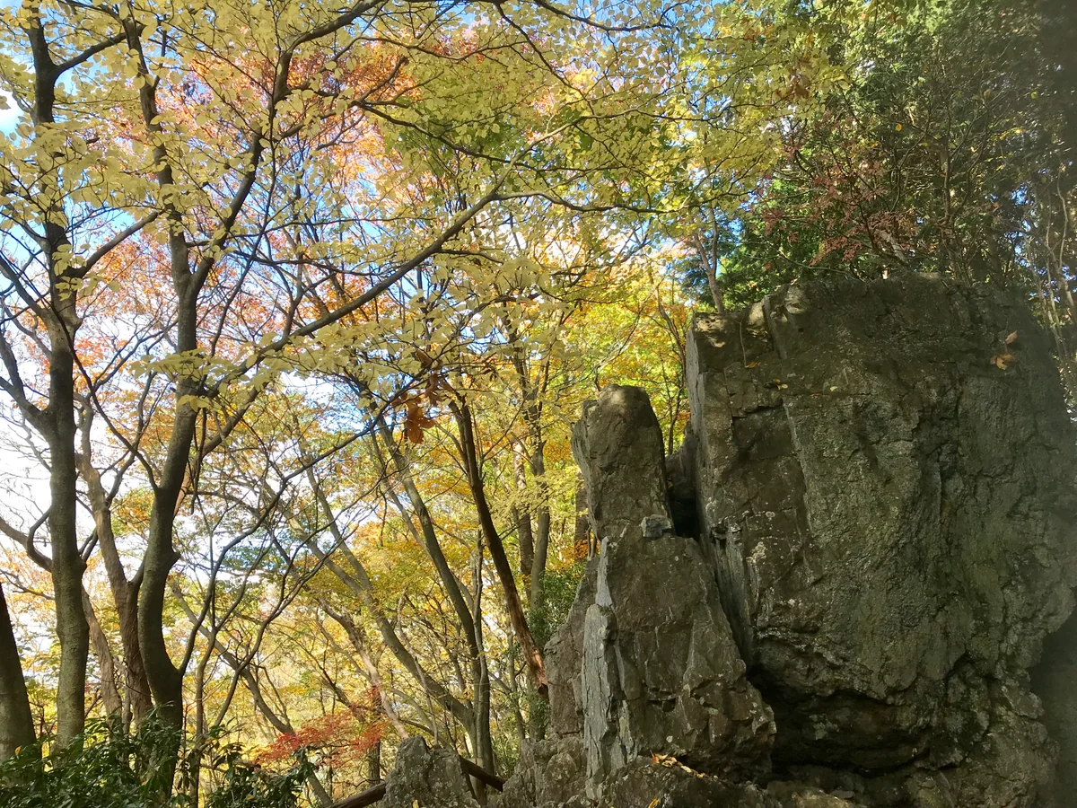 投稿写真：棒ノ折山の岩茸石