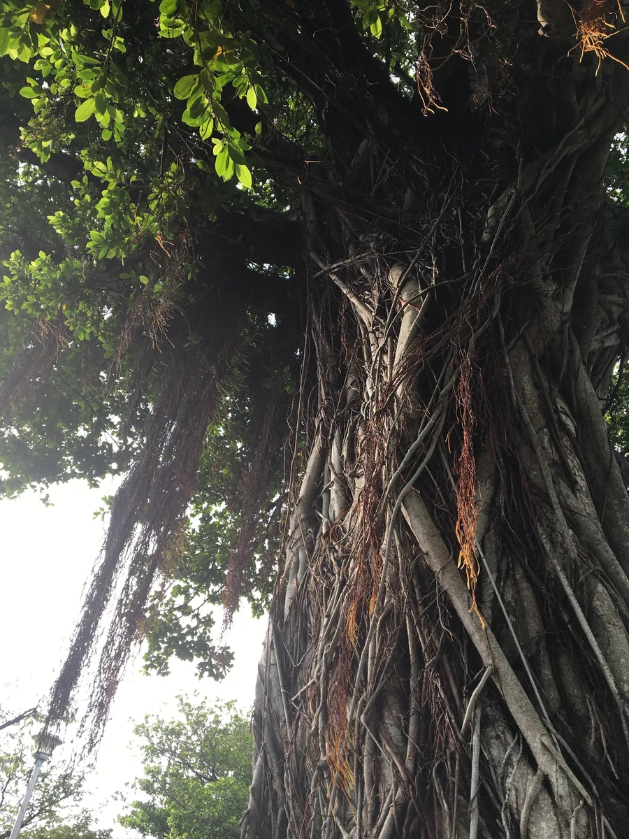 投稿写真：沖縄