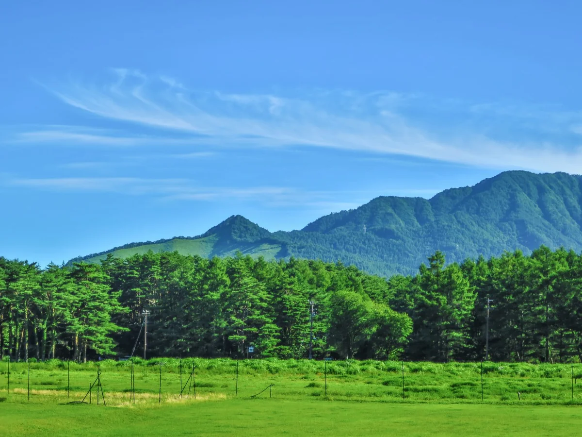 投稿写真：白いすじ雲と夏山