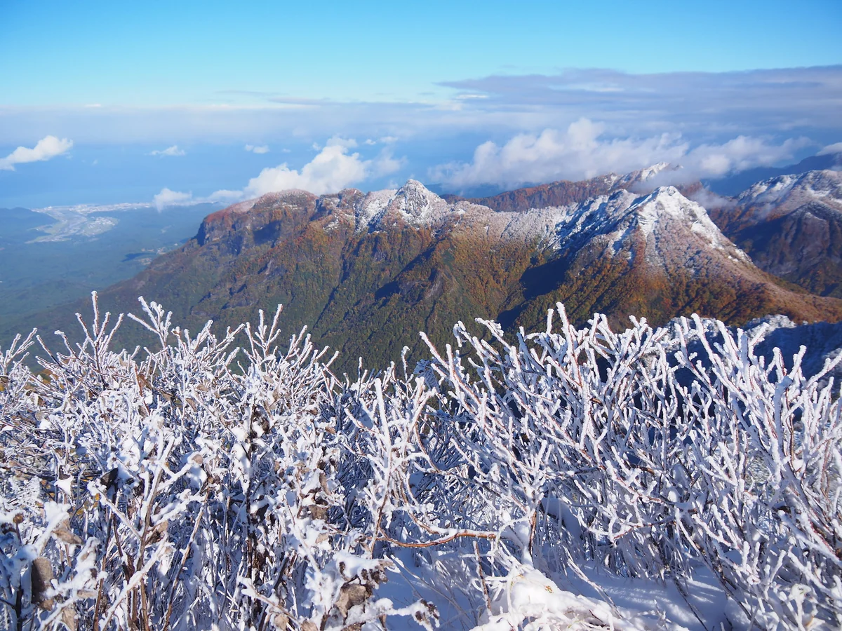 投稿写真：頂上からの紅葉見物