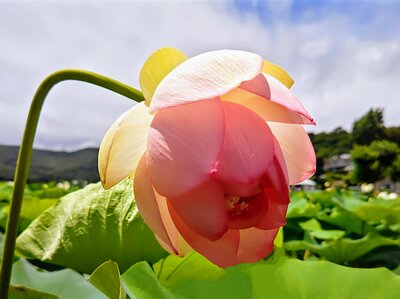  | 絶景事典