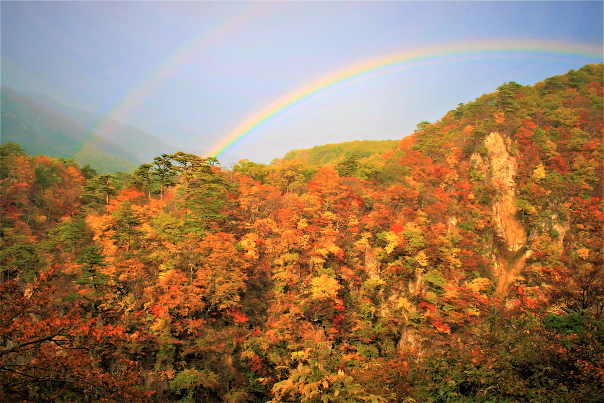 投稿写真：虹の架け橋