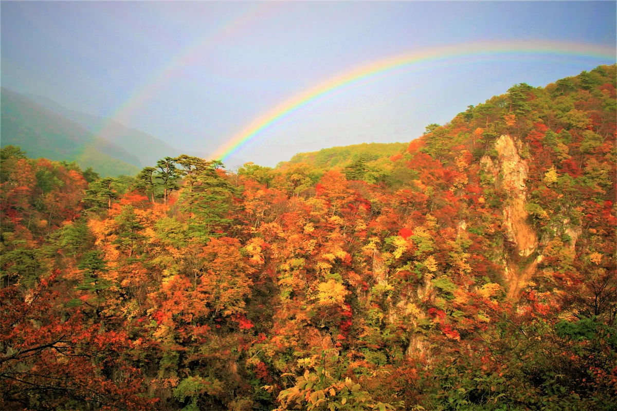 投稿写真：虹の架け橋