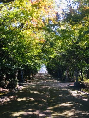  | 絶景事典