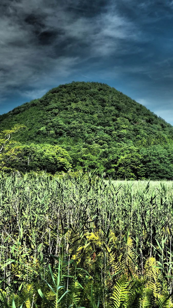 投稿写真：栃木の富士山